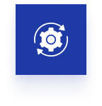 the_dbq_process_btn